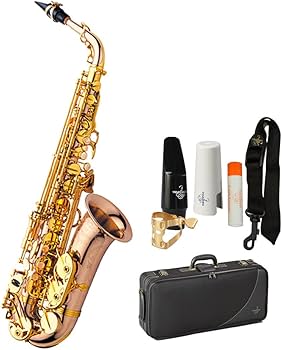 【美品】YANAGISAWAブロンズ上位現行モデルアルトサックスWO20保証書付 美品】YANAGISAWAブロンズ上位現行モデルアルトサックスWO20保証書付